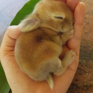 Meet your Posher, Colleen cable